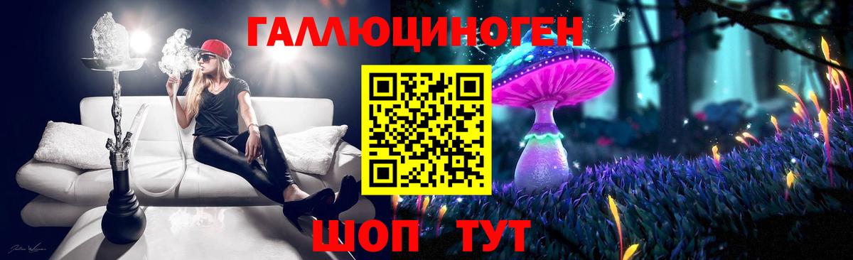 Псилоцибиновые грибы Psilocybe Ступино